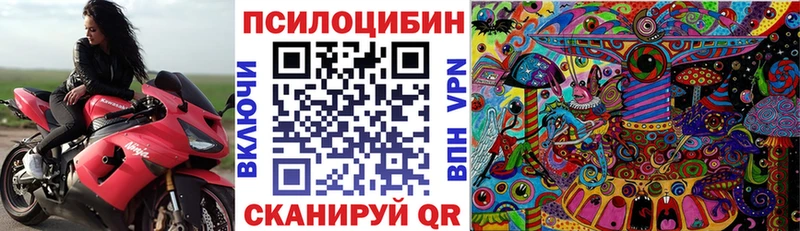 сколько стоит  Муром  Псилоцибиновые грибы Magic Shrooms 